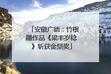 安徽广德：竹根雕作品《梁丰岁稔》斩获金鼎奖
